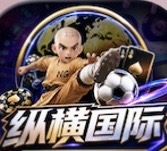纵横国际