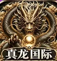 真龙国际